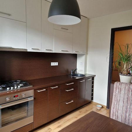Siaure Apartment Kaunas Ngoại thất bức ảnh
