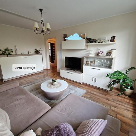 Siaure Apartment Kaunas Ngoại thất bức ảnh